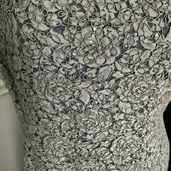 Alex Evenings lace and sequin jeweled petite evening gown. - Picture 2 of 8